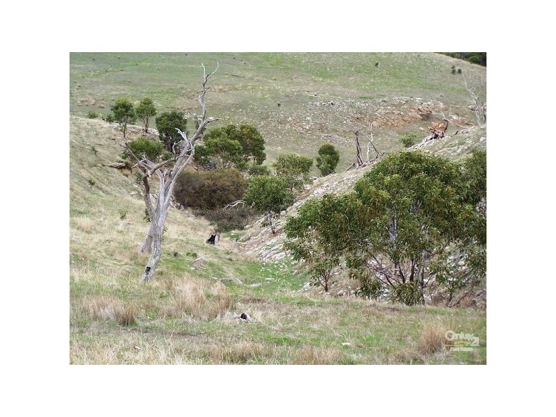 Lot 60 Pyne Hill Road, Wattle Flat SA 5203
