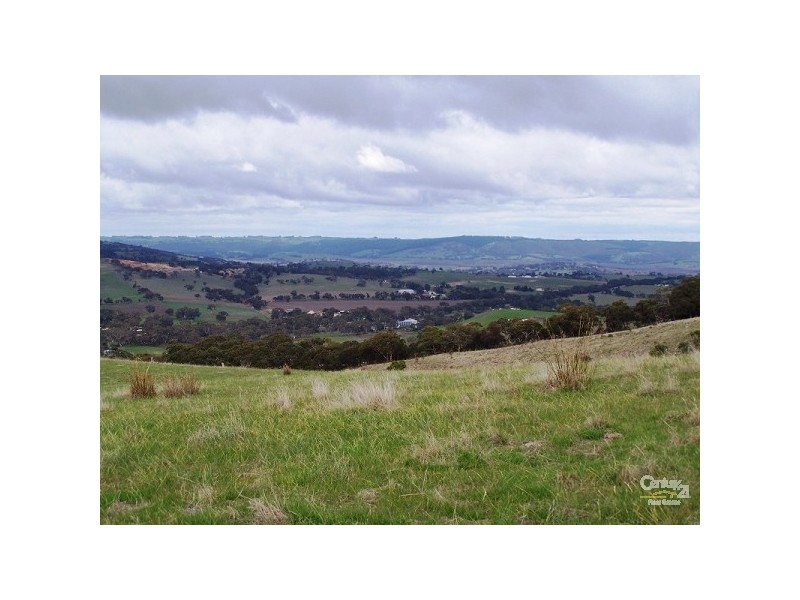 Lot 60 Pyne Hill Road, Wattle Flat SA 5203