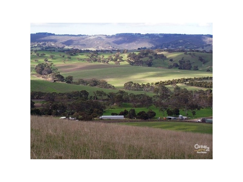 Lot 60 Pyne Hill Road, Wattle Flat SA 5203
