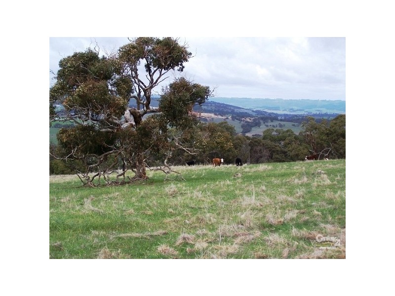 Lot 60 Pyne Hill Road, Wattle Flat SA 5203