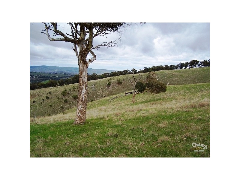 Lot 60 Pyne Hill Road, Wattle Flat SA 5203