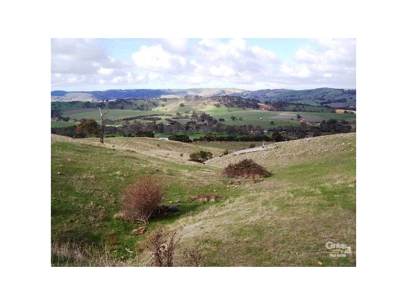 Lot 60 Pyne Hill Road, Wattle Flat SA 5203