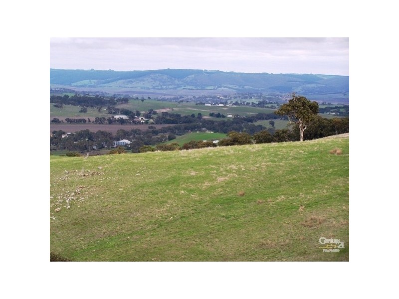 Lot 60 Pyne Hill Road, Wattle Flat SA 5203