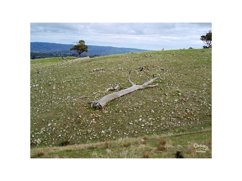 Lot 60 Pyne Hill Road, Wattle Flat SA 5203