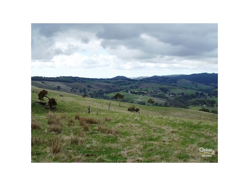 Lot 60 Pyne Hill Road, Wattle Flat SA 5203