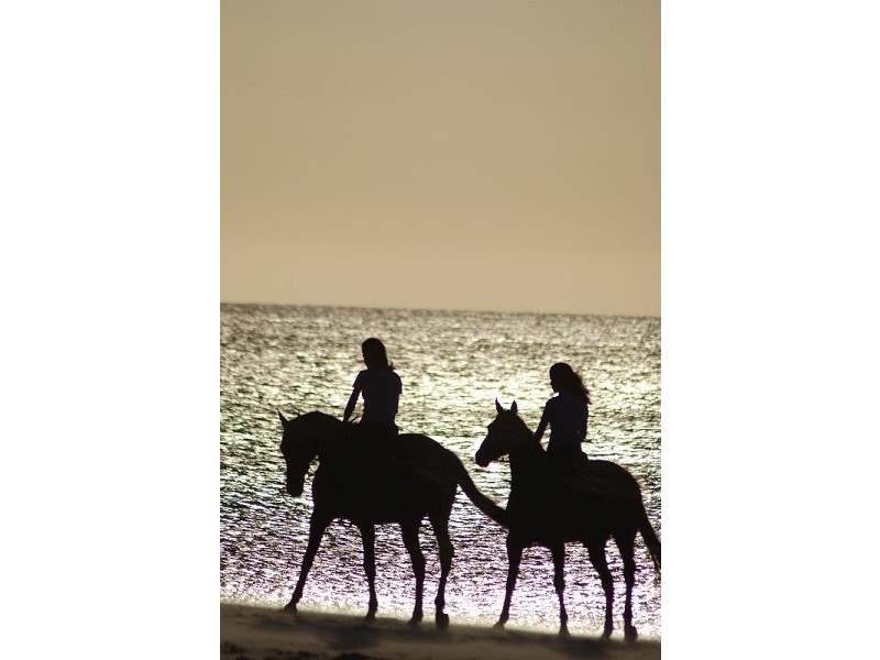 107 Main South Road, Normanville SA 5204