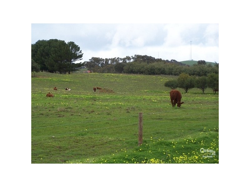Lot 63 Resolute Avenue, Normanville SA 5204
