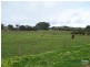 Lot 63 Resolute Avenue, Normanville SA 5204