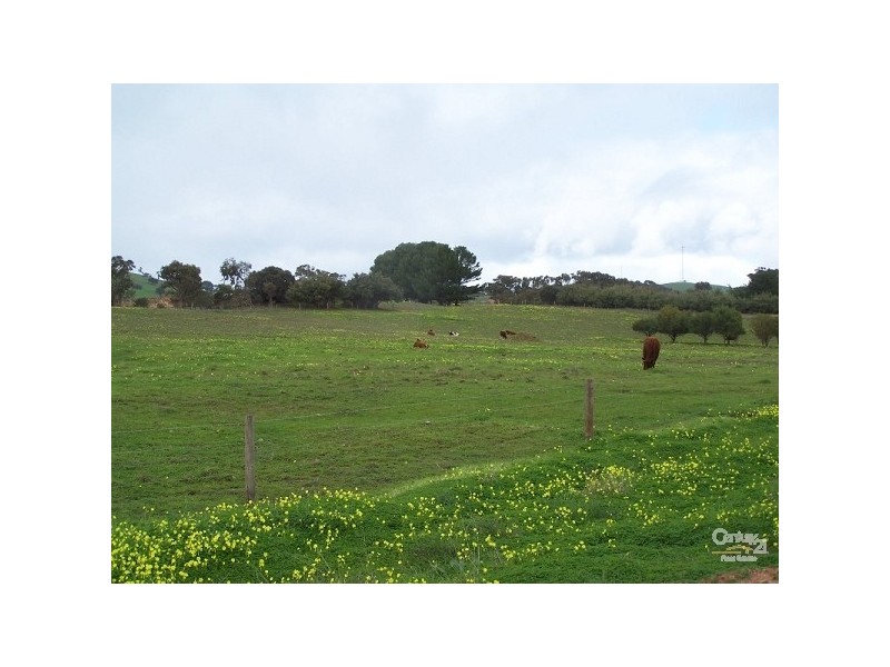 Lot 63 Resolute Avenue, Normanville SA 5204