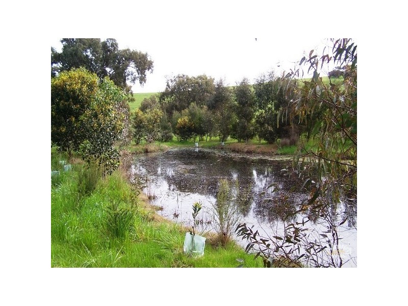 Lot 20 Dairy Flat Road, Hay Flat SA 5204