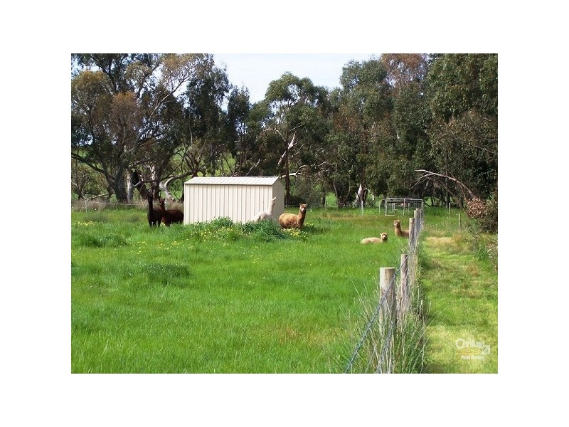 Lot 20 Dairy Flat Road, Hay Flat SA 5204