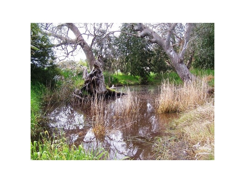 Lot 20 Dairy Flat Road, Hay Flat SA 5204