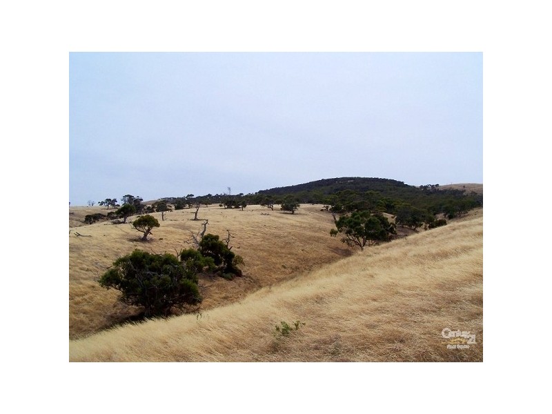 Lot 5 Fishery Beach Road, Cape Jervis SA 5204