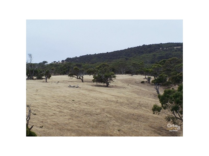 Lot 5 Fishery Beach Road, Cape Jervis SA 5204