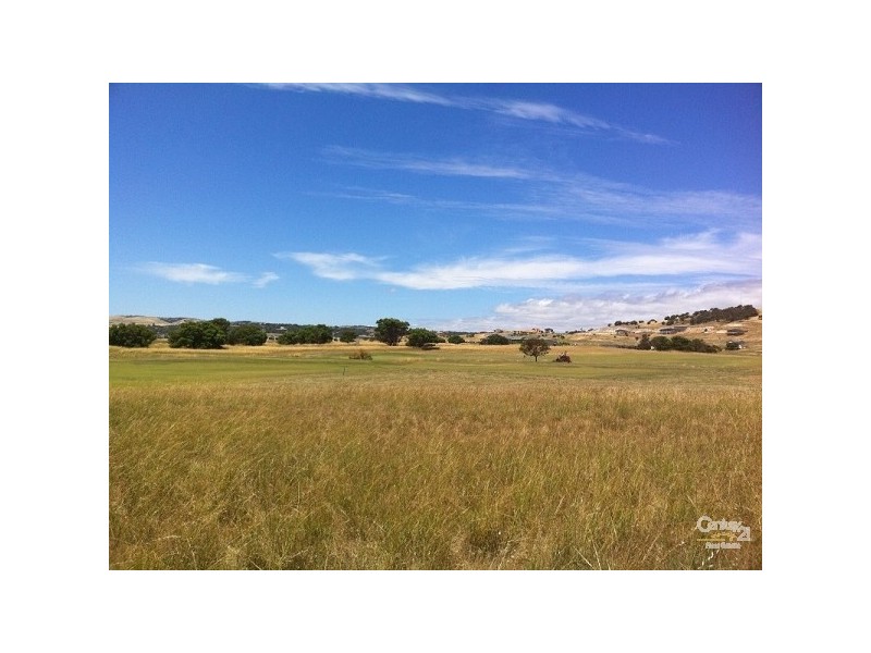 Lot 203 The Vines Drive, Normanville SA 5204