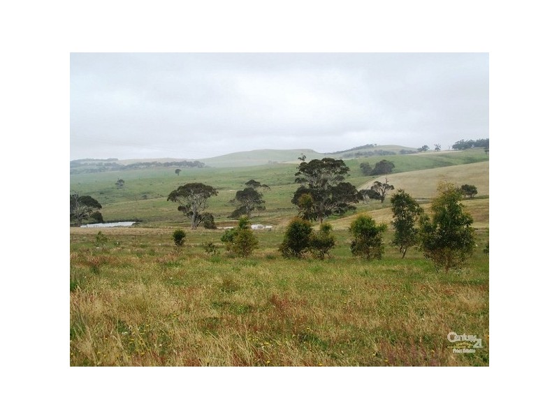 Lot 47 Coomooloo Road, Bald Hills SA 5203