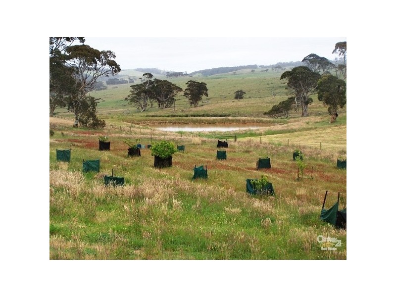 Lot 47 Coomooloo Road, Bald Hills SA 5203