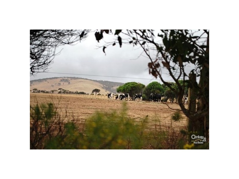 Lot 111 Seaview Close, Cape Jervis SA 5204