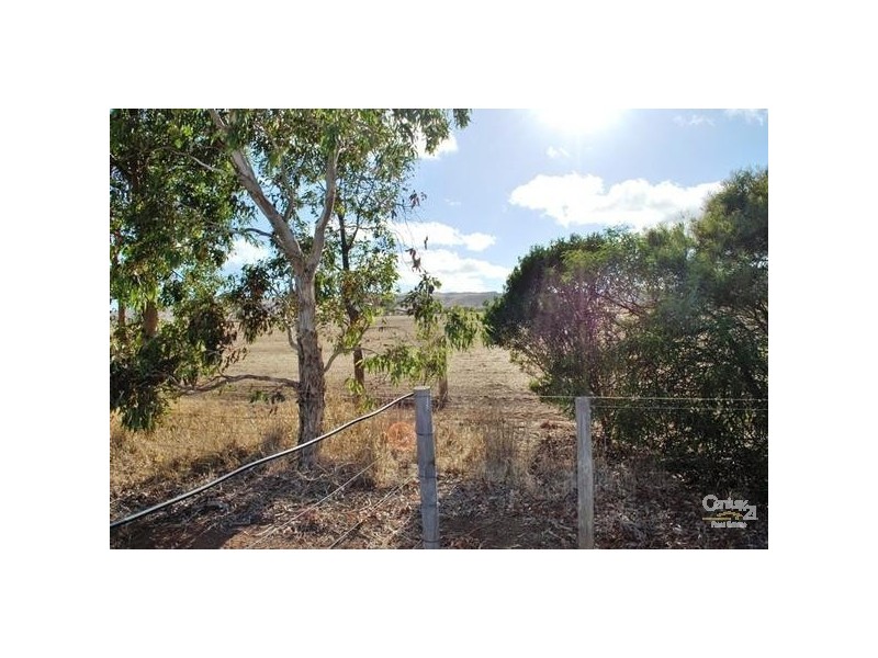 Lot 111 Seaview Close, Cape Jervis SA 5204