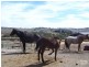 Lot 201 Botanic Drive, Inman Valley SA 5211