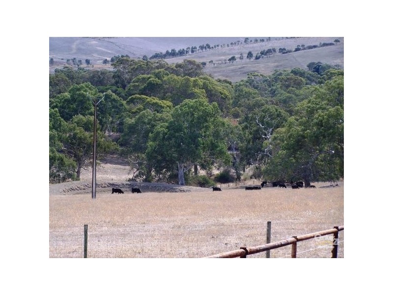 Lot 201 Botanic Drive, Inman Valley SA 5211