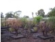 3 Glebe Avenue, Yankalilla SA 5203