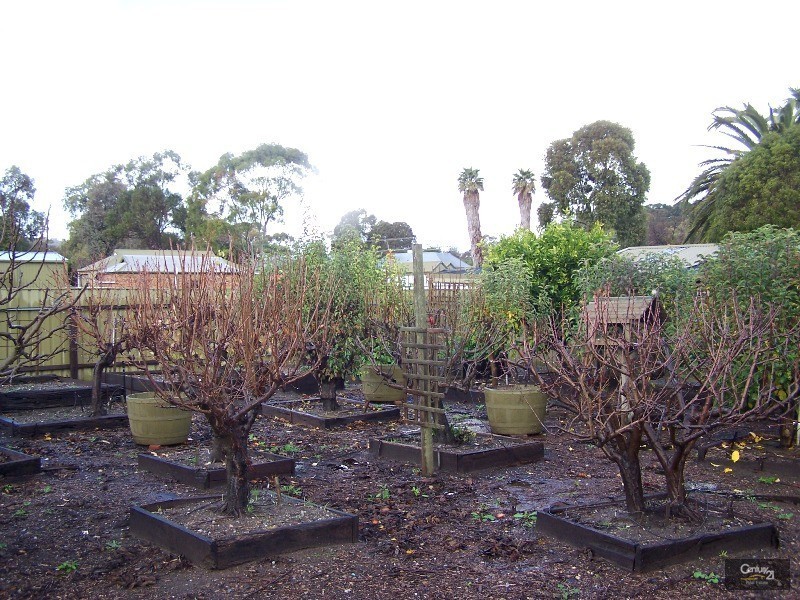 3 Glebe Avenue, Yankalilla SA 5203