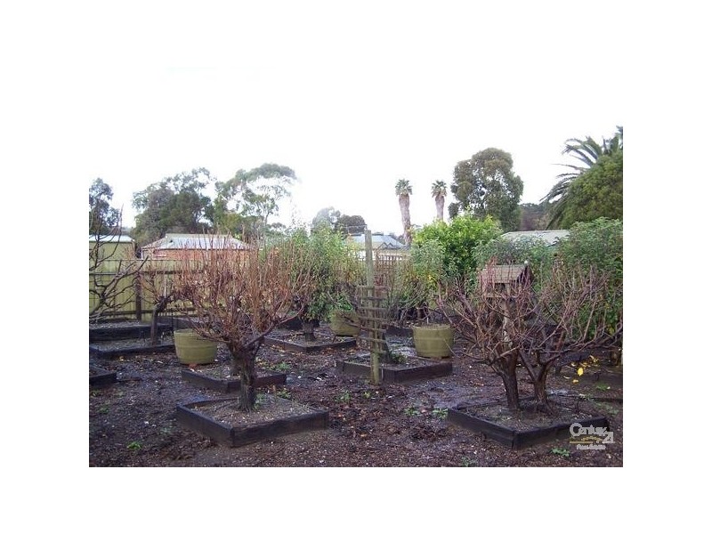 3 Glebe Avenue, Yankalilla SA 5203