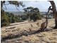 Lot 70 Fishery Beach Road, Cape Jervis SA 5204