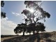 Lot 70 Fishery Beach Road, Cape Jervis SA 5204