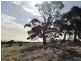 Lot 70 Fishery Beach Road, Cape Jervis SA 5204
