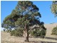 Lot 70 Fishery Beach Road, Cape Jervis SA 5204