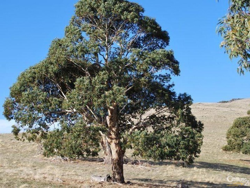 Lot 70 Fishery Beach Road, Cape Jervis SA 5204