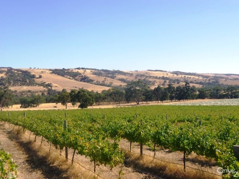 29 Yacca Road, Yankalilla SA 5203