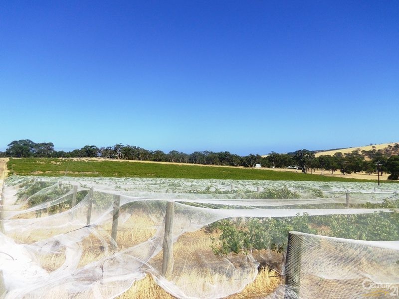 29 Yacca Road, Yankalilla SA 5203