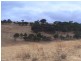 Lot 12 Forktree (Lanceolata) Road, Carrickalinga SA 5204