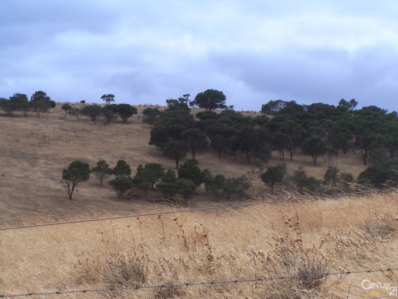 Lot 12 Forktree (Lanceolata) Road, Carrickalinga SA 5204