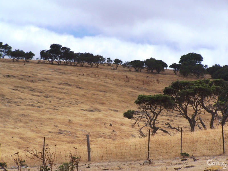 Lot 12 Forktree (Lanceolata) Road, Carrickalinga SA 5204