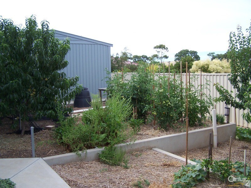 3 Anna Court, Normanville SA 5204