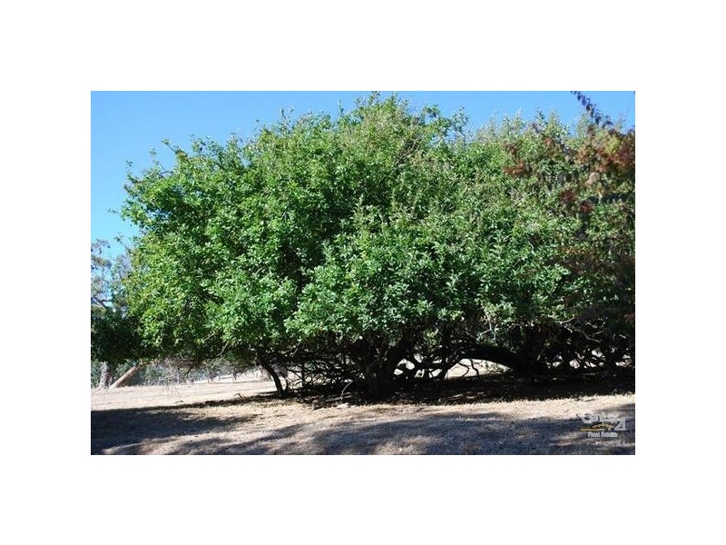 4514 Main South Road, Myponga SA 5202