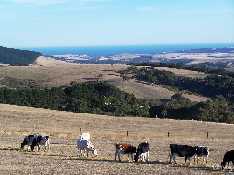 297 Parawa Road, Parawa SA 5203