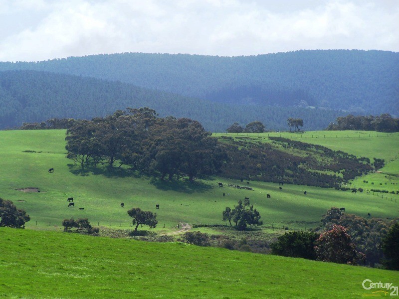 297 Parawa Road, Parawa SA 5203