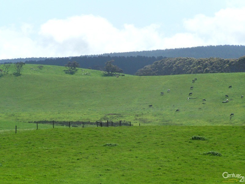 297 Parawa Road, Parawa SA 5203