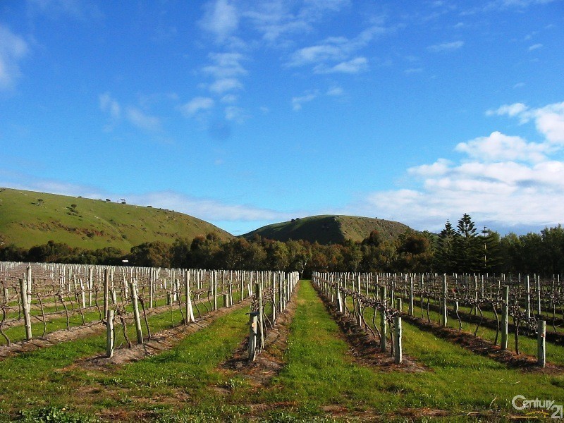 Lot 207 The Vines Drive, Normanville SA 5204