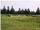 Lot 208 The Vines Drive, Normanville SA 5204