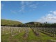 Lot 208 The Vines Drive, Normanville SA 5204