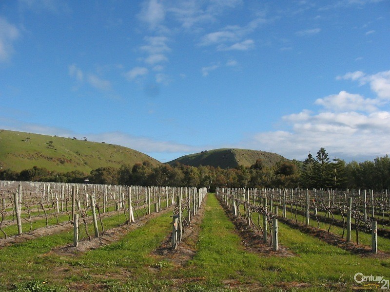 Lot 208 The Vines Drive, Normanville SA 5204