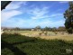 6 Merino Avenue, Carrickalinga SA 5204
