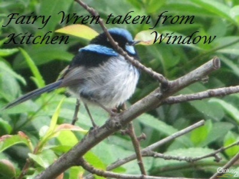 65 Main Street, Yankalilla SA 5203