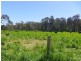 20 Treasure Lane, Hay Flat SA 5204